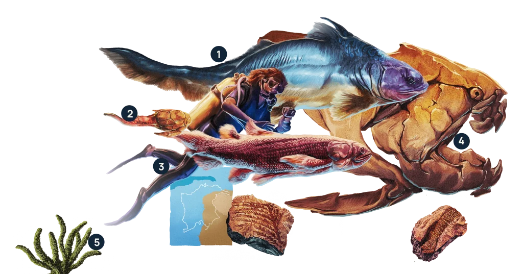animales del devónico, version móvil
