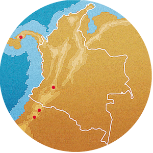 tierra en el cuaternario