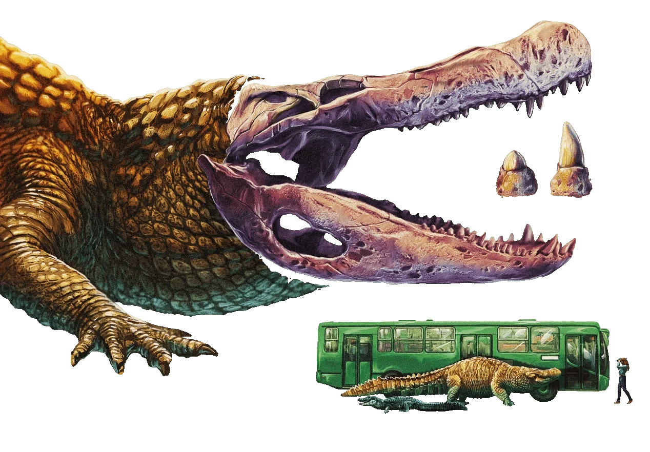 imagen comparativa del caimán