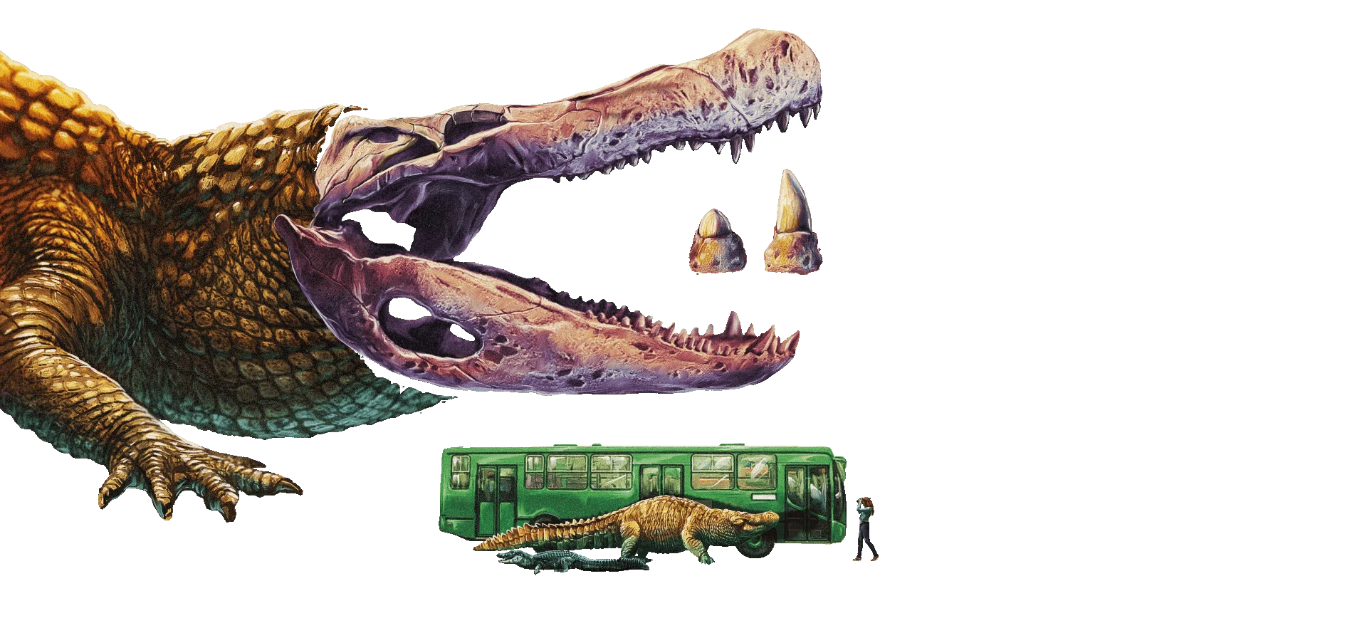 imagen comparativa del caimán