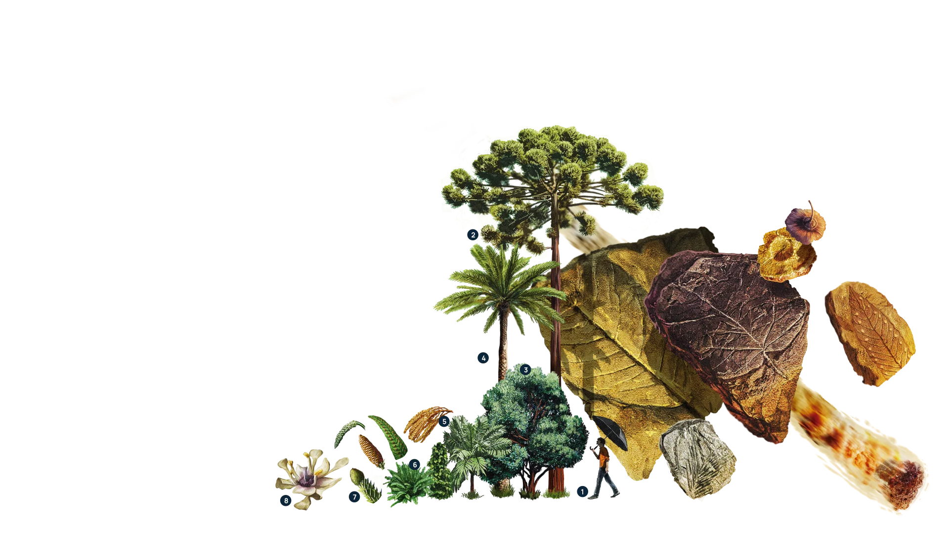 animales del plioceno