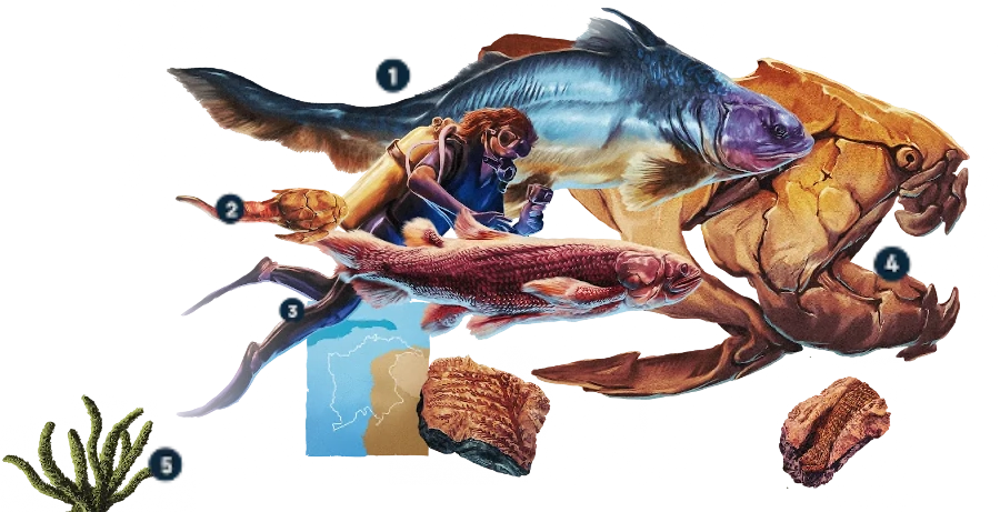 animales del devónico, version móvil