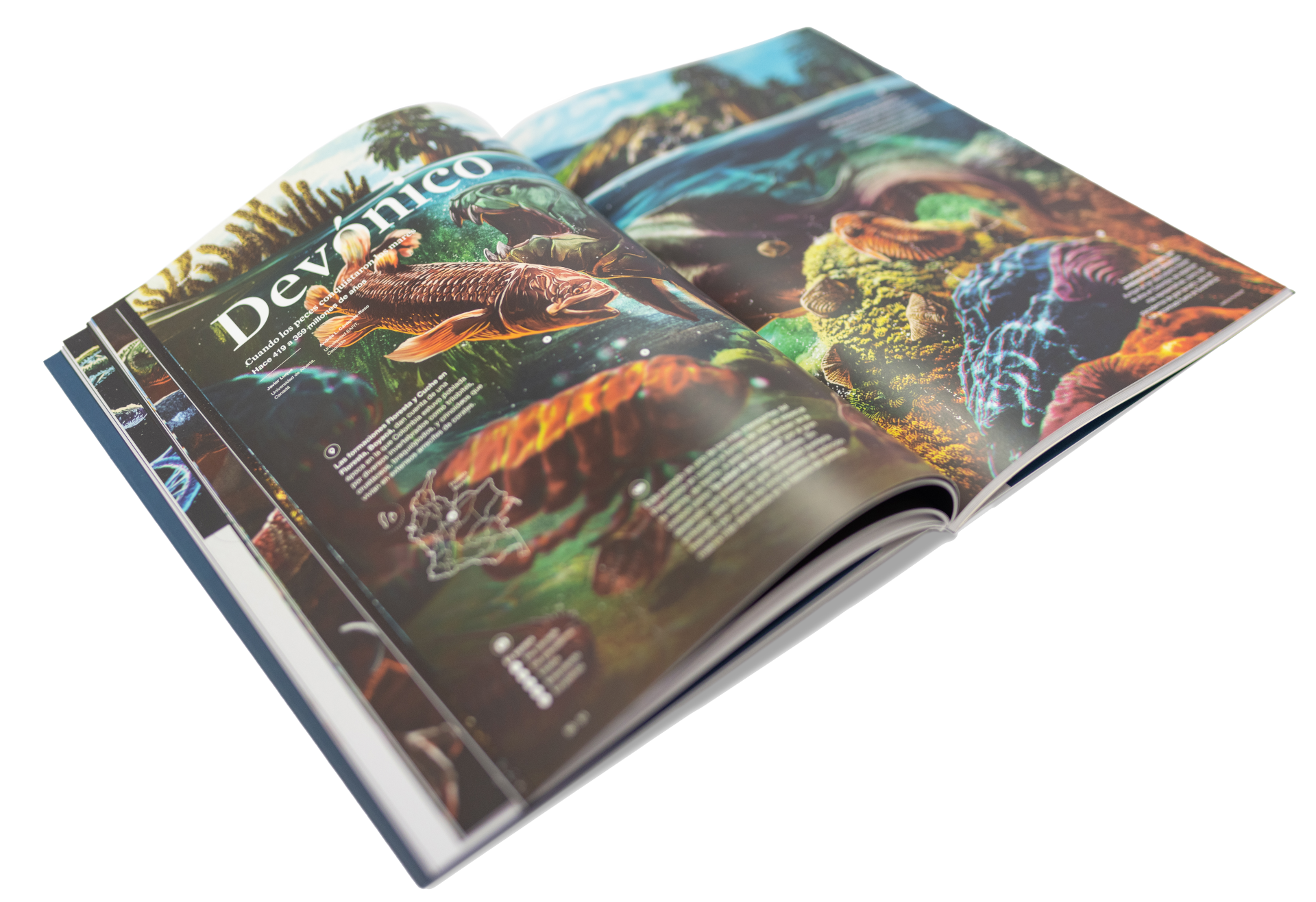 libro hace tiempo abierto