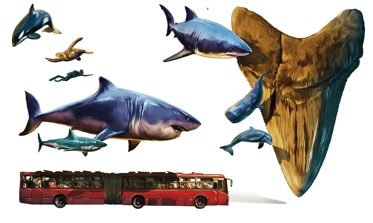 imagen comparativa del megalodon con otros objetos