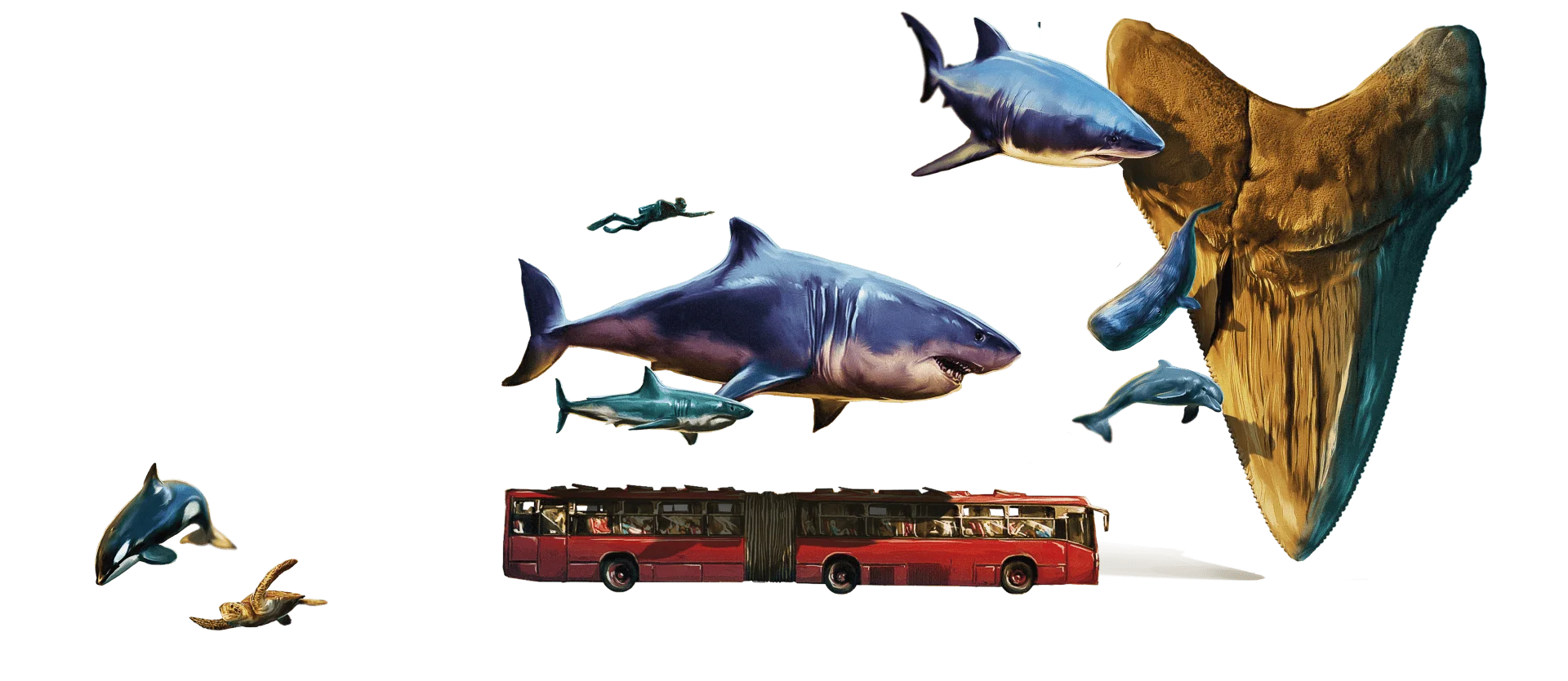 imagen comparativa del megalodon con otros objetos