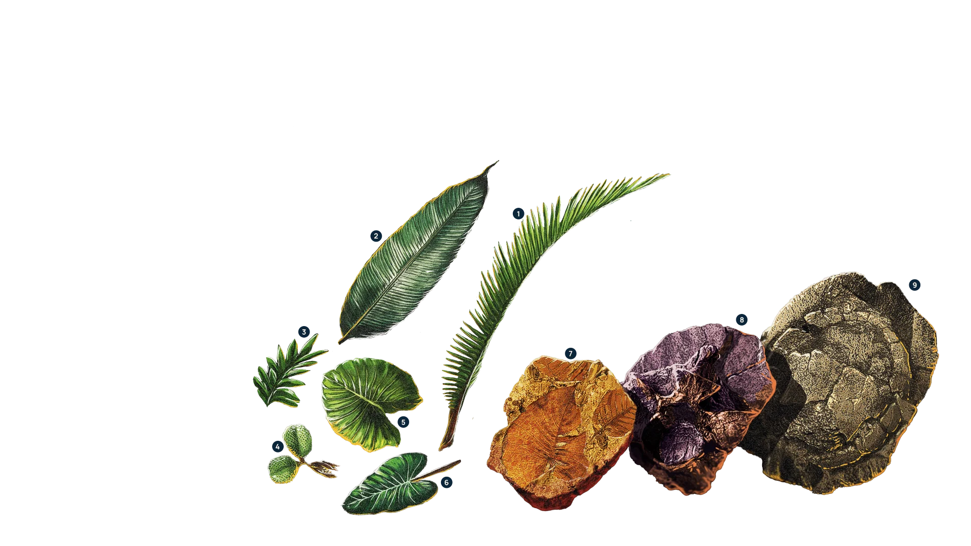 animales del plioceno